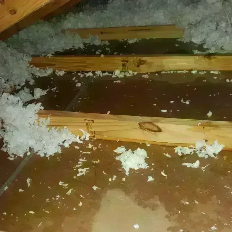 Attic Water Damage in Trenton, NC